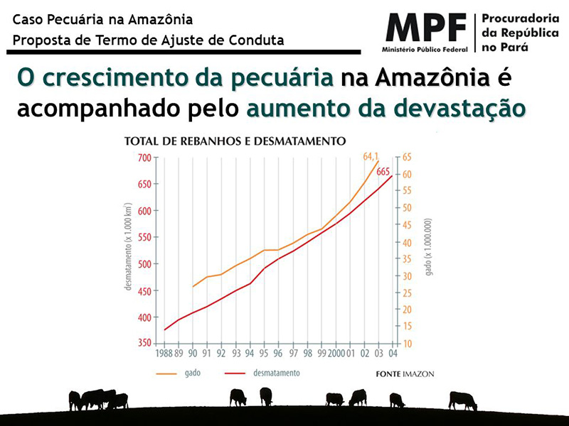 pecuária na Amazônia