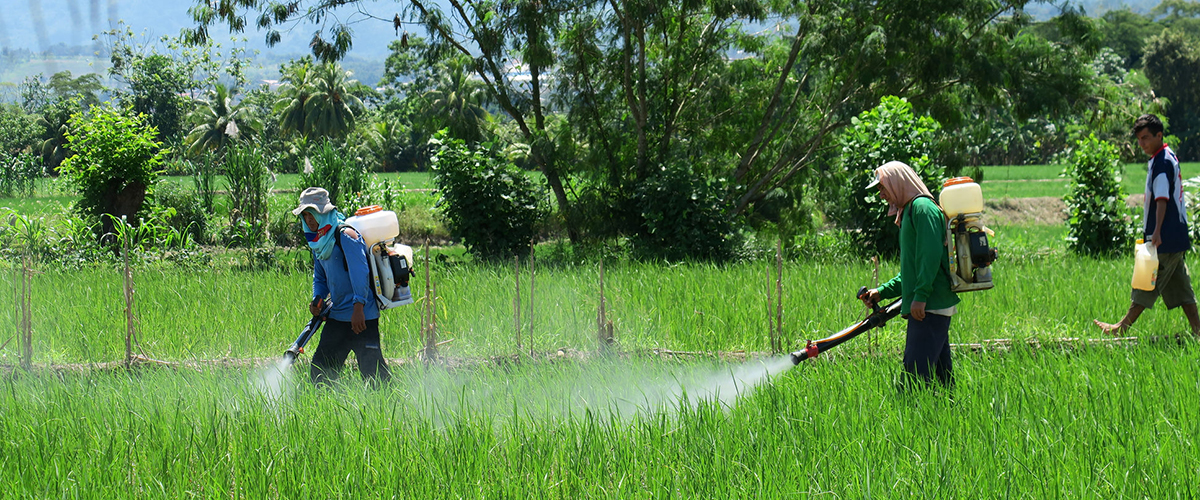 17_05_agrotoxico_pesticida_aplicacao_foto_development_planning_flickr_cc.jpg