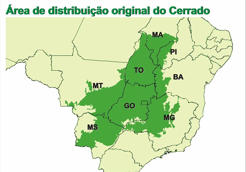 área de distribuição original do Cerrado