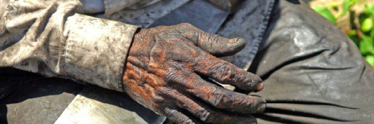 Resultado de imagem para MinistÃ©rio do Trabalho resgata 54 â€˜escravosâ€™ em fazenda de soja no PiauÃ­