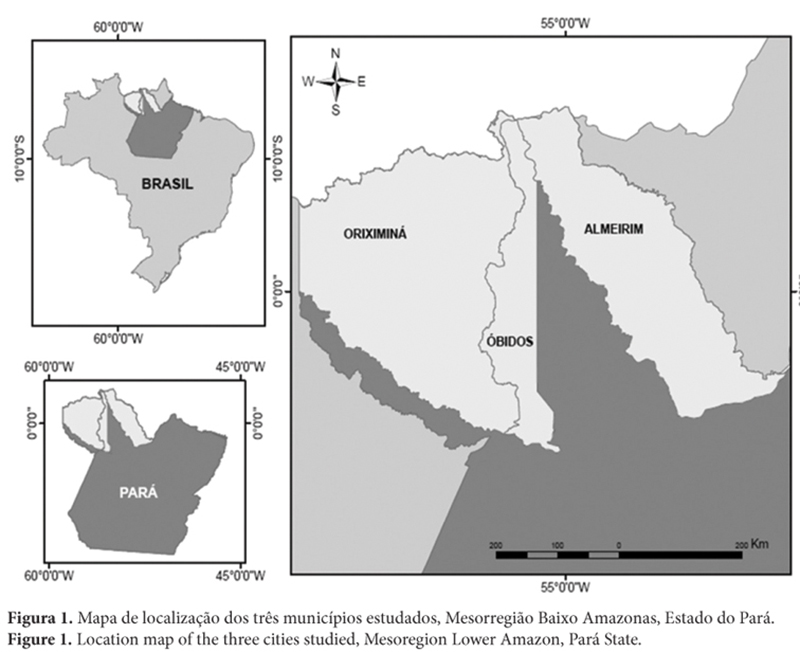 mesoregião baixo amazonas