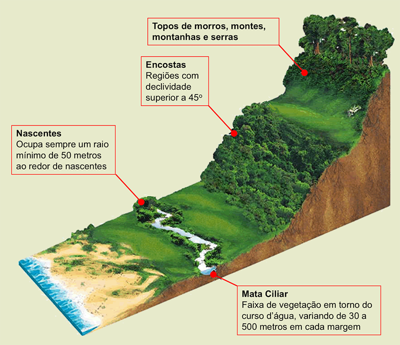 como as matas protegem as nascentes