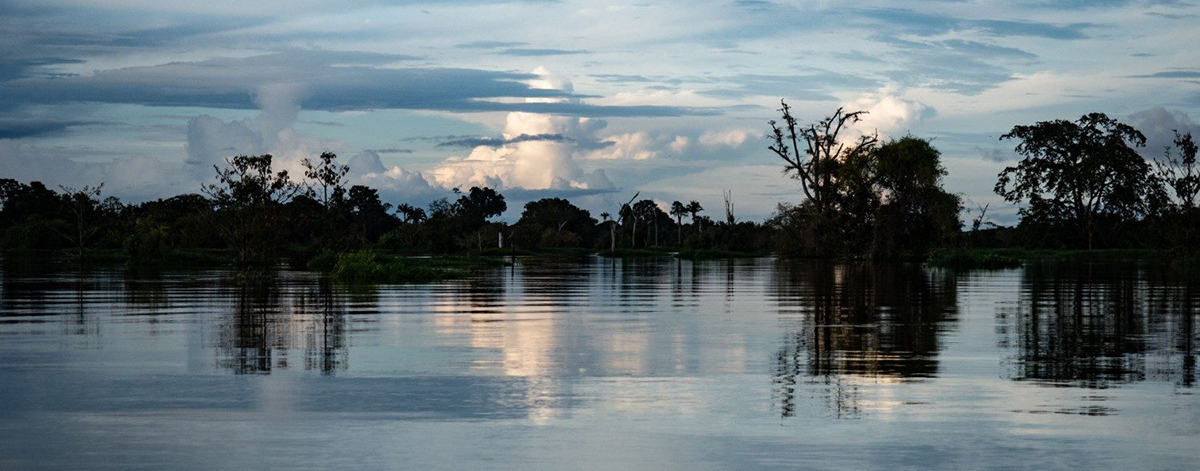 Resultado de imagem para "O Sínodo da Amazônia é um grande chamamento em favor da reconciliação do homem com a natureza mediadora de sua condição humana".