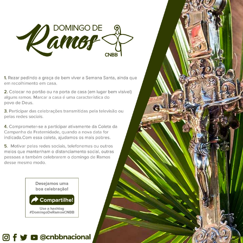 Featured image of post Imagem Domingo De Ramos / Que tal participar de procissões com a comunidade e levar consigo alguns ramos de oliveira ou de palmeira?