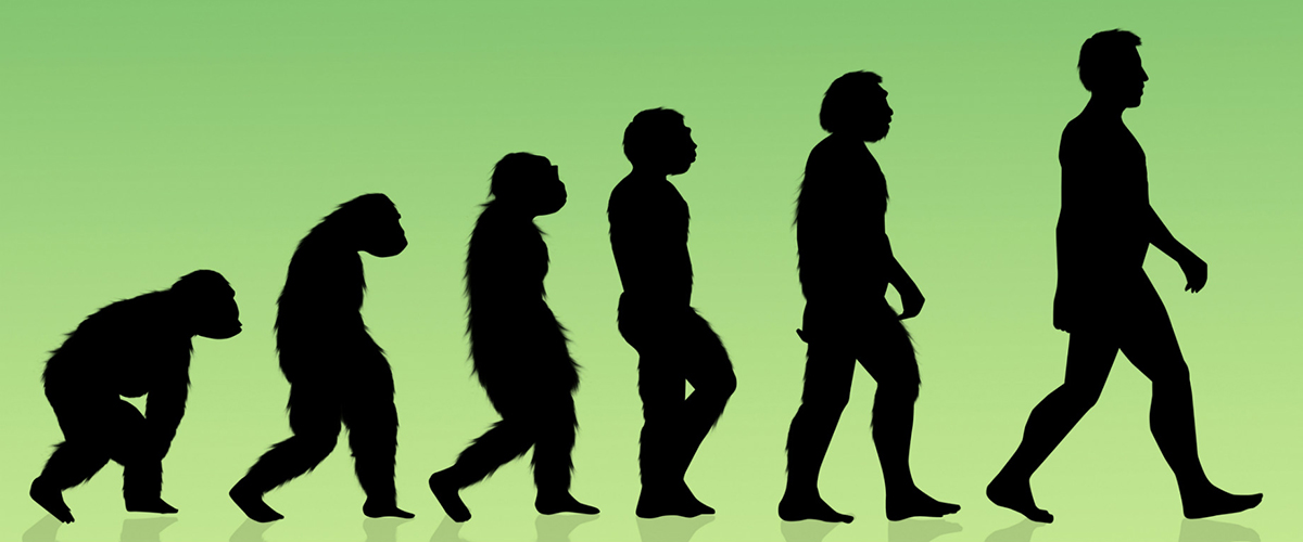 Como Se Deu O Surgimento Das Lutas Na Civilização Humana