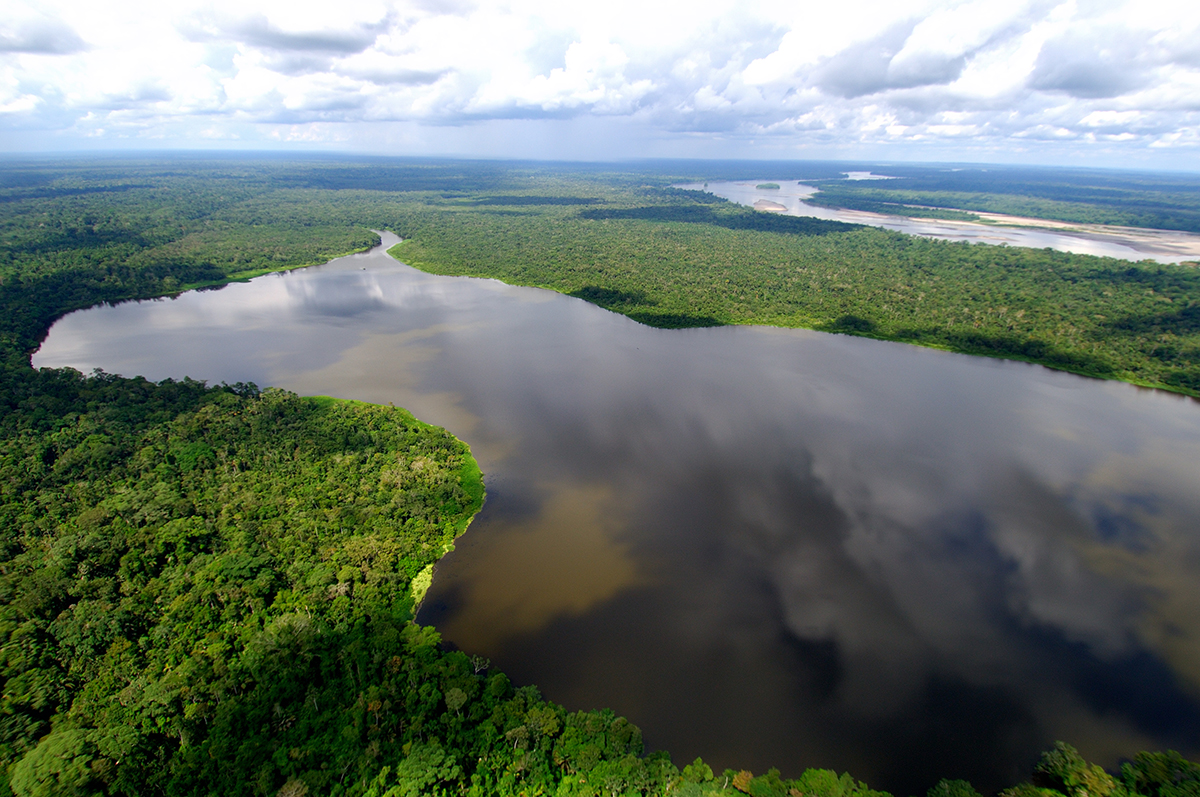 Resultado de imagem para Sínodo da Amazônia revela sagacidade política do papa
