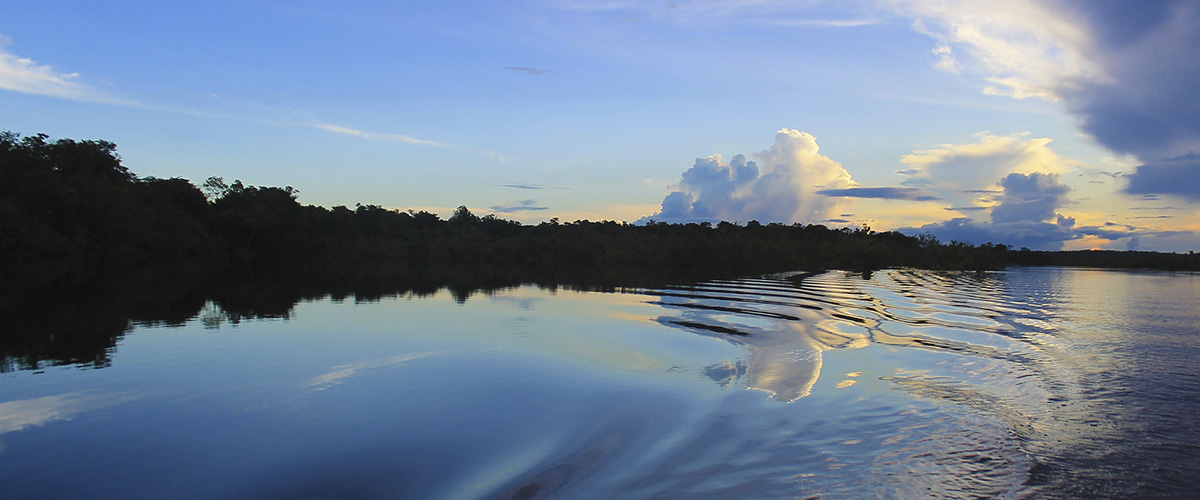 Por que a Amazônia merece um Sínodo. Artigo de Michael Czerny e D. David Martínez de Aguirre Guinea