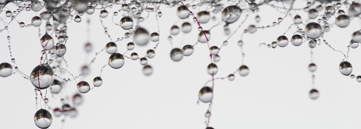 Pingos e respingos da migração da Itália e Europa