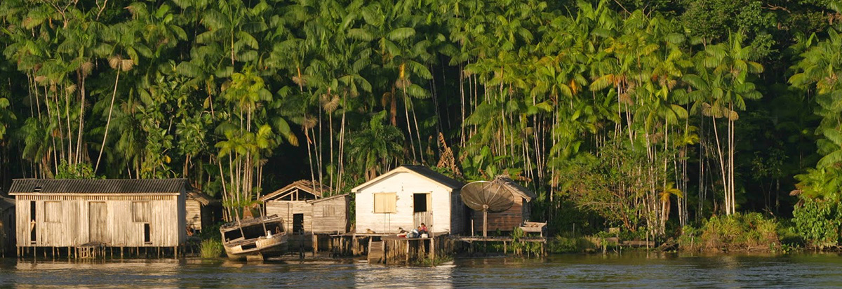 Pesquisadores e jovens ribeirinhos promovem feiras para repor agrobiodiversidade da várzea amazônica