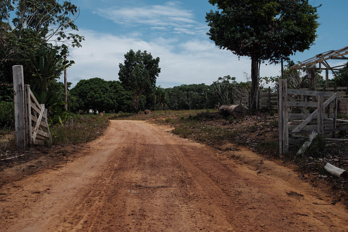 O slogan “grileiro não faz home office” dá o tom do catastrófico quadro dos ataques à floresta e às populações nativas da Amazônia