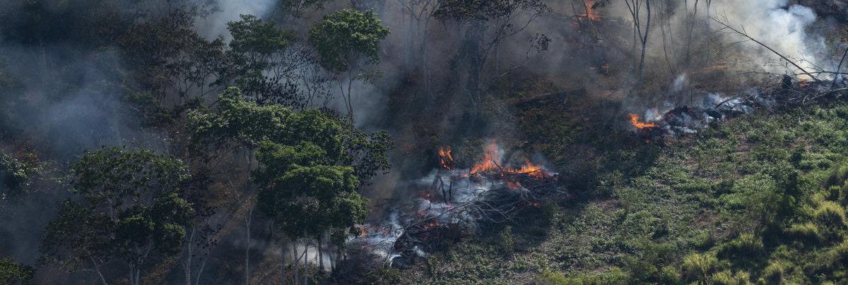 O ar é insuportável”: Os impactos das queimadas associadas ao desmatamento  da Amazônia brasileira na saúde