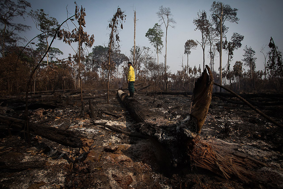 Professor e pesquisador avalia a situação do Brasil e faz um balanço do cenário global e nacional em relação à pauta do meio ambiente, alertando sobre o risco real cada vez mais próximo de um ponto de não retorno