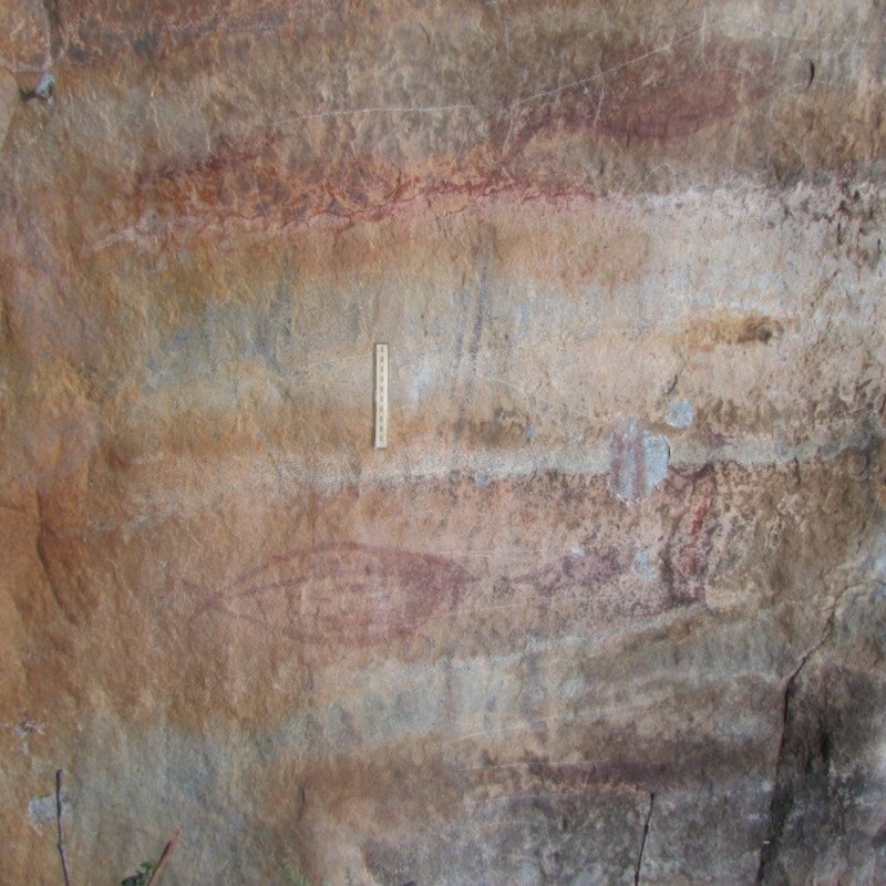 Imagem: Sítio Arqueológico Cachoeira Seca. Detalhe de pinturas rupestres em formato de ‘peixes’ (com escala). Piedade do Paraopeba, Brumadinho, MG | Foto: Alenice Baeta, Agosto de 2021.
