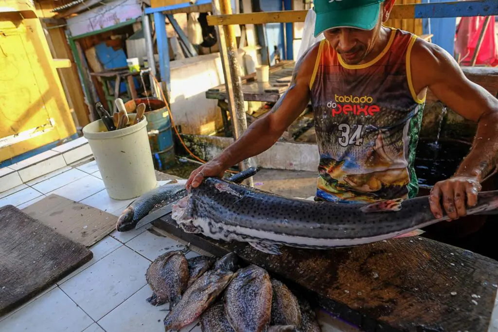 Seca no as deixa cidades isoladas e com escassez de alimento - Amazônia Real