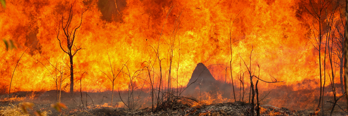 https://www.ihu.unisinos.br/images/ihu/2024/09/19_09_incendio_brasilia_fotos_publicas.jpg