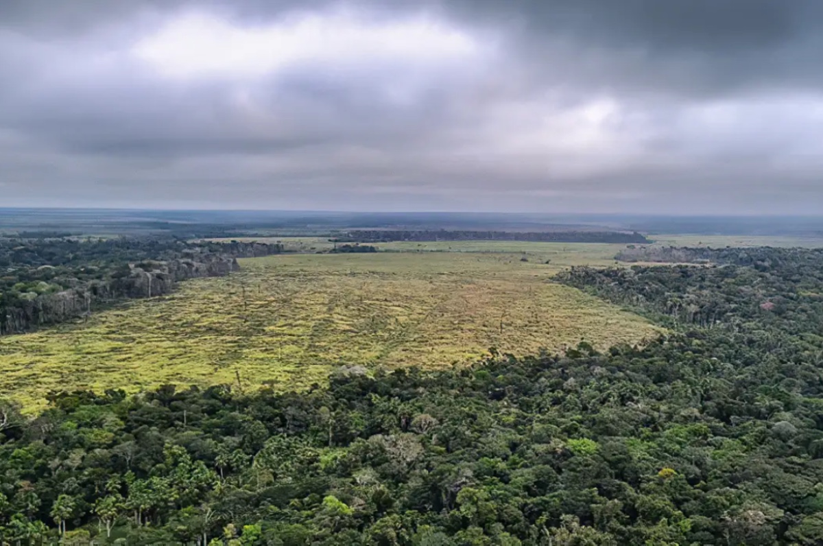 A Conferência das Partes (COP), reunião anual dos países signatários da Convenção-Quadro das Nações Unidas sobre Mudança do Clima, poderá frear o avanço agrícola e a destruição dos ecossistemas ou fortalecerá narrativas homogeneizantes do Norte Global?