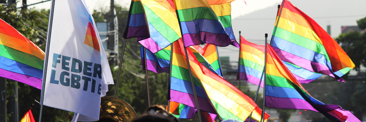 A oposição à diversidade de gênero e sexual enfraquece o ensinamento da Igreja sobre a dignidade humana