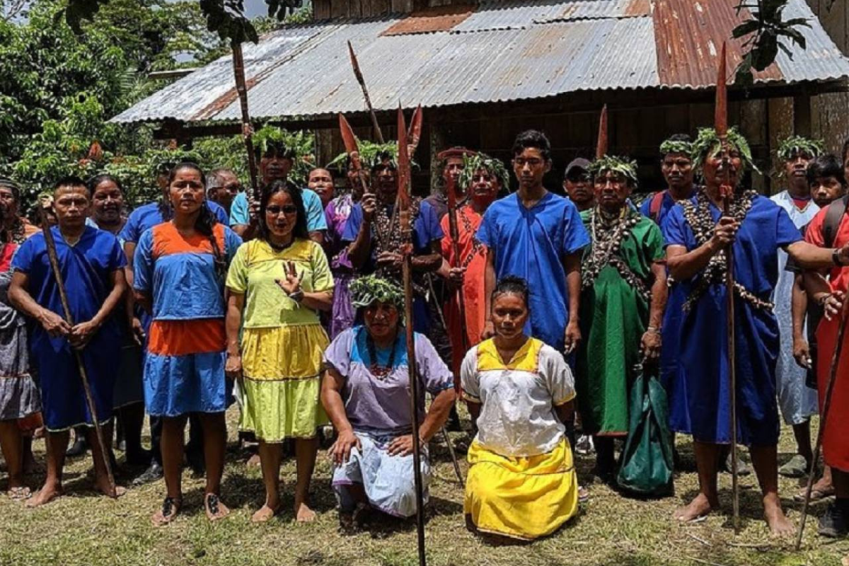 Cosmovisão, cultura e território são peculiares a cada povo e não devem ser generalizados. Se algumas etnias foram colonizadas, outras resistem e lutam por sua autonomia, cultivando seus próprios sistemas jurídicos