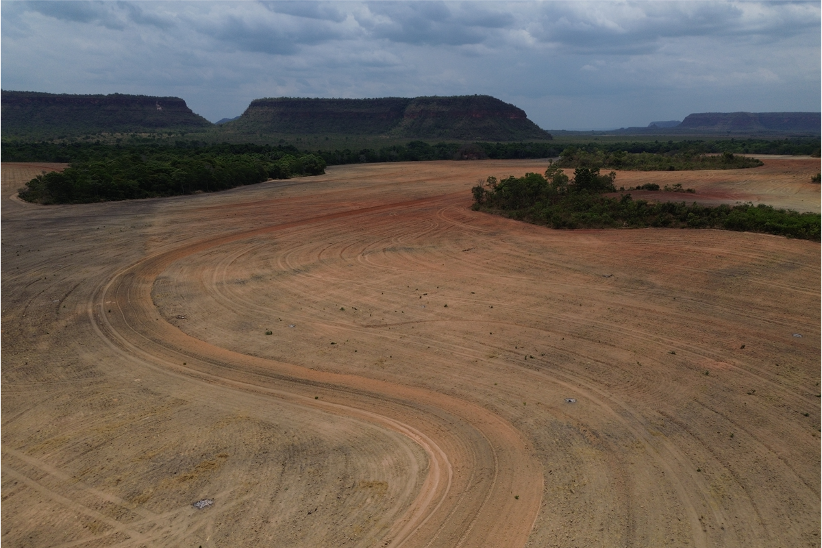 Com​ mais 55% da vegetação nativa da região convertida, o professor é contundente: 