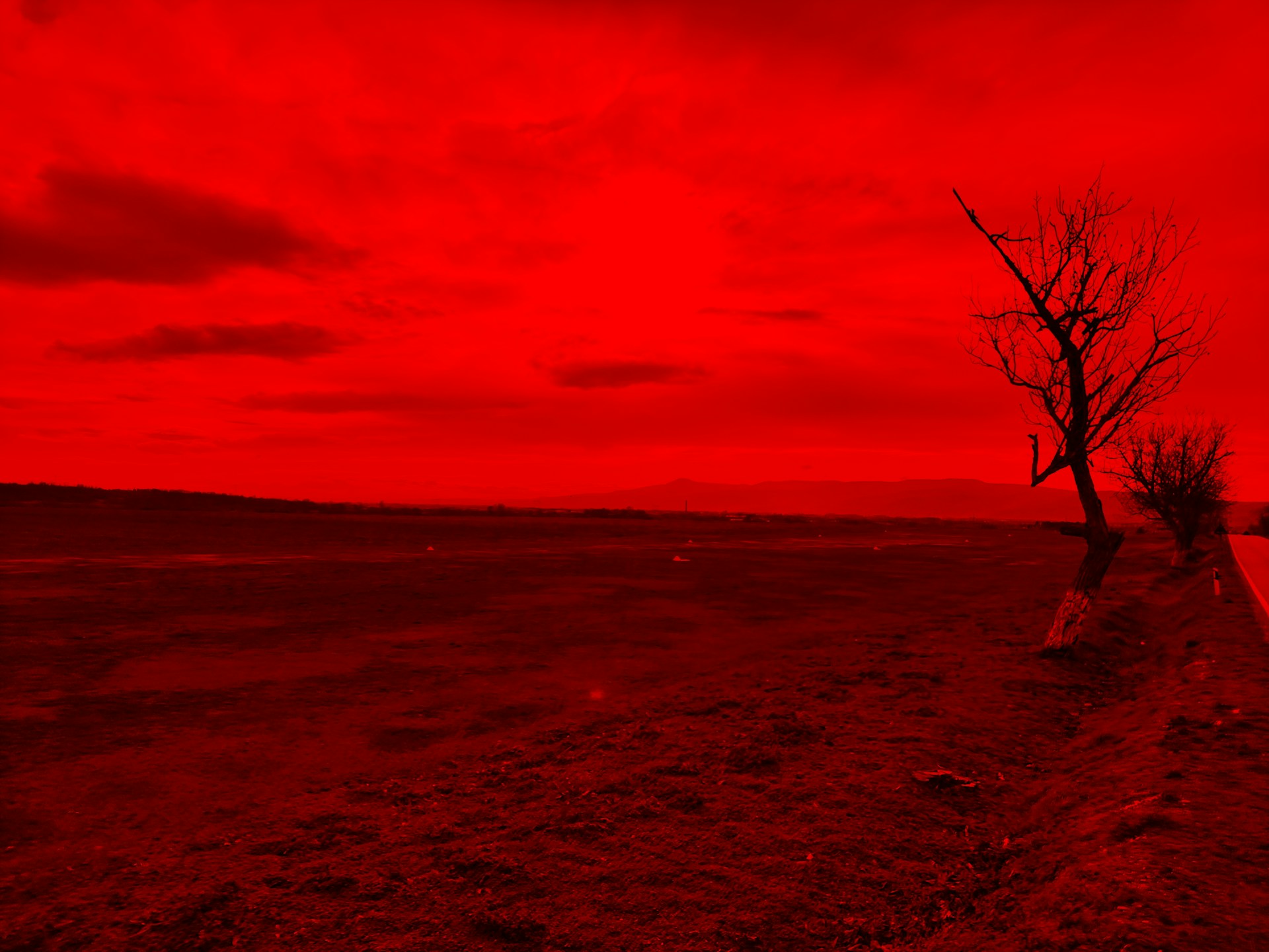 A pesquisadora explora imagens artísticas sobre o colapso planetário que vivenciamos e oferece um panorama das questões associadas ao fenômeno do colapso ambiental global no qual estamos inseridos
